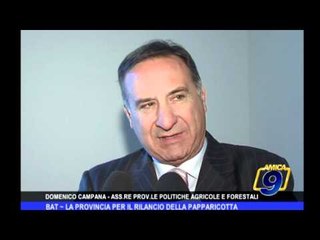 BAT | La Provincia per il rilancio della papparicotta