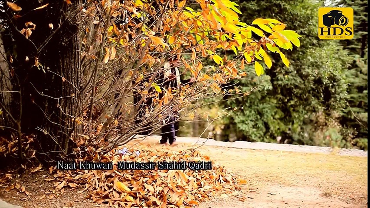 Maa Di Shan - Mudassir Shahid Qadri - Maan Ki Shaan - Very emotional Maa di Shan