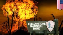 Yellowstone volcano eruption: How NASA plans to protect Earth from a supervolcanic end - TomoNews