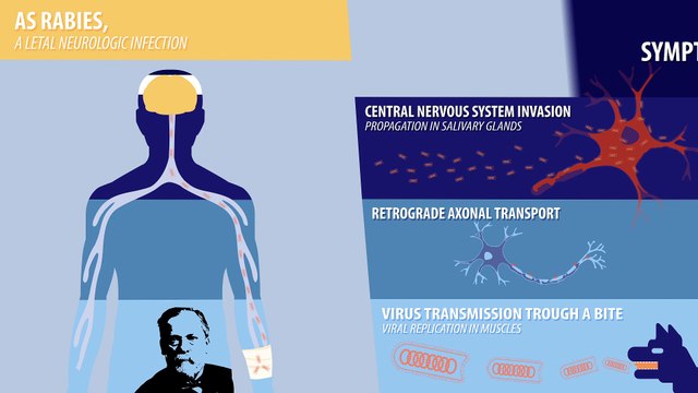 FUN-MOOC : Microbes and Brain