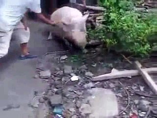 TỘI NGHIỆP QUÁ.......... NAM MÔ A DI ĐÀ PHẬT.