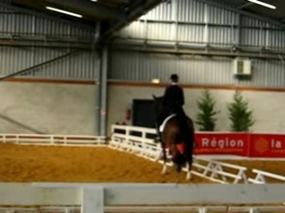 dressage au Salon du Cheval 2007