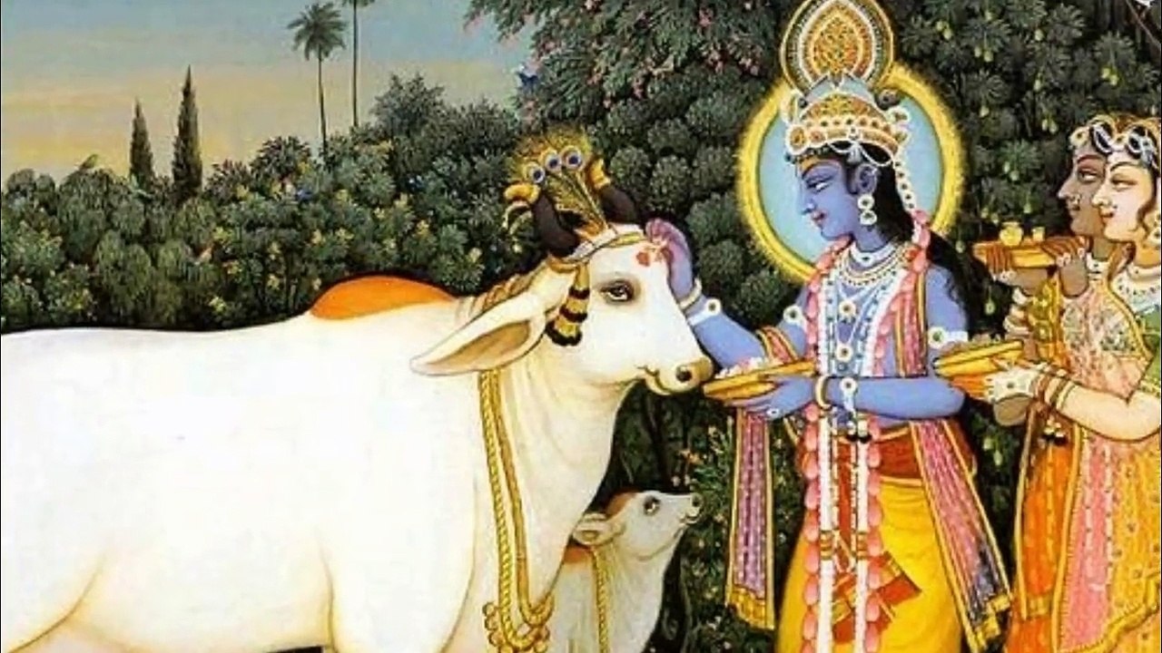 जब एक गाय ने दिया इंसान के बच्चे को जन्म, आगे जो हुवा वो चौका देने वाला था