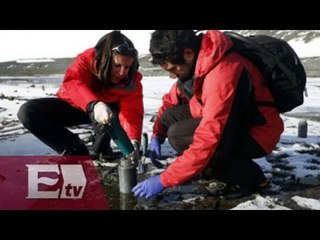 Hallan en la Antártida bacteria que podría ayudar a tratar el cáncer / Ingrid Barrera