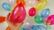 Learn Counting 1 - 20 with Balloons and Olie The Cub