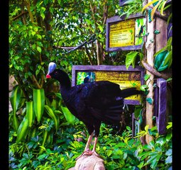 Hong Kong and Macau Photo Tour