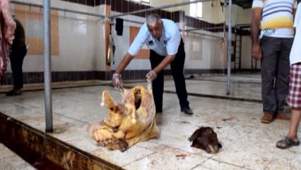 Suruç'ta Ölü Koyun Kesildiği İddiası