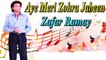 Zafar Ramay - Aye Meri Zohra Jabeen