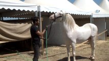 Malazgirt Zaferi'nin 946. Yıl Dönümü Etkinlikleri Kapsamında Atlarla Akrobasi Gösterisi Yapılacak