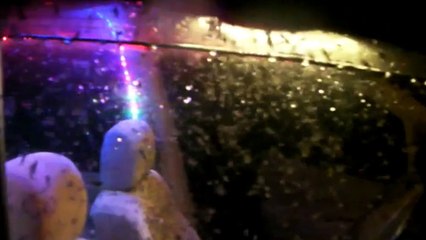 Cette voiture est envahie d'insectes !