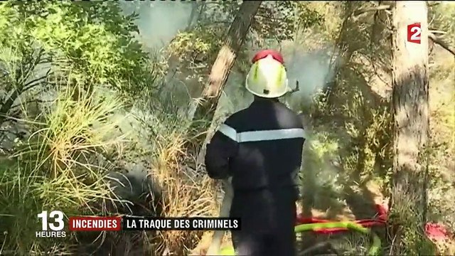 Incendies : la traque des criminels