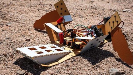 This Robot Moves Like A Turtle