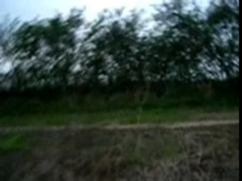 yamaha wolverine 450