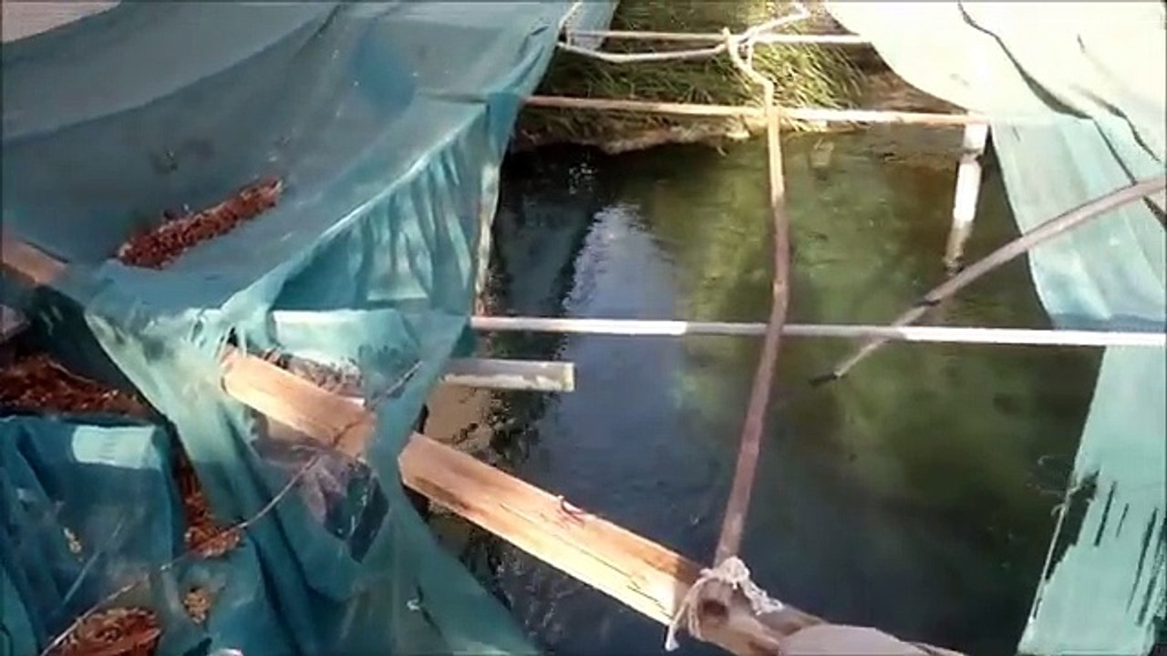 Hazrat Usman Ghani R.A ka Well by kashi sheikh{kslover4u youtube}