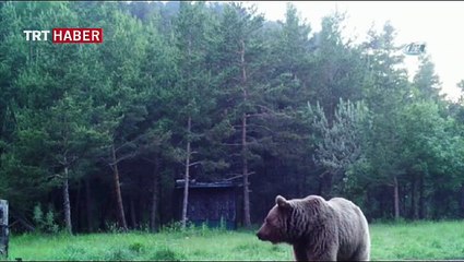 Ankara'da doğa fotoğrafçılığı