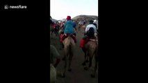 Tourists stranded in 'camel jam' in Chinese mountain