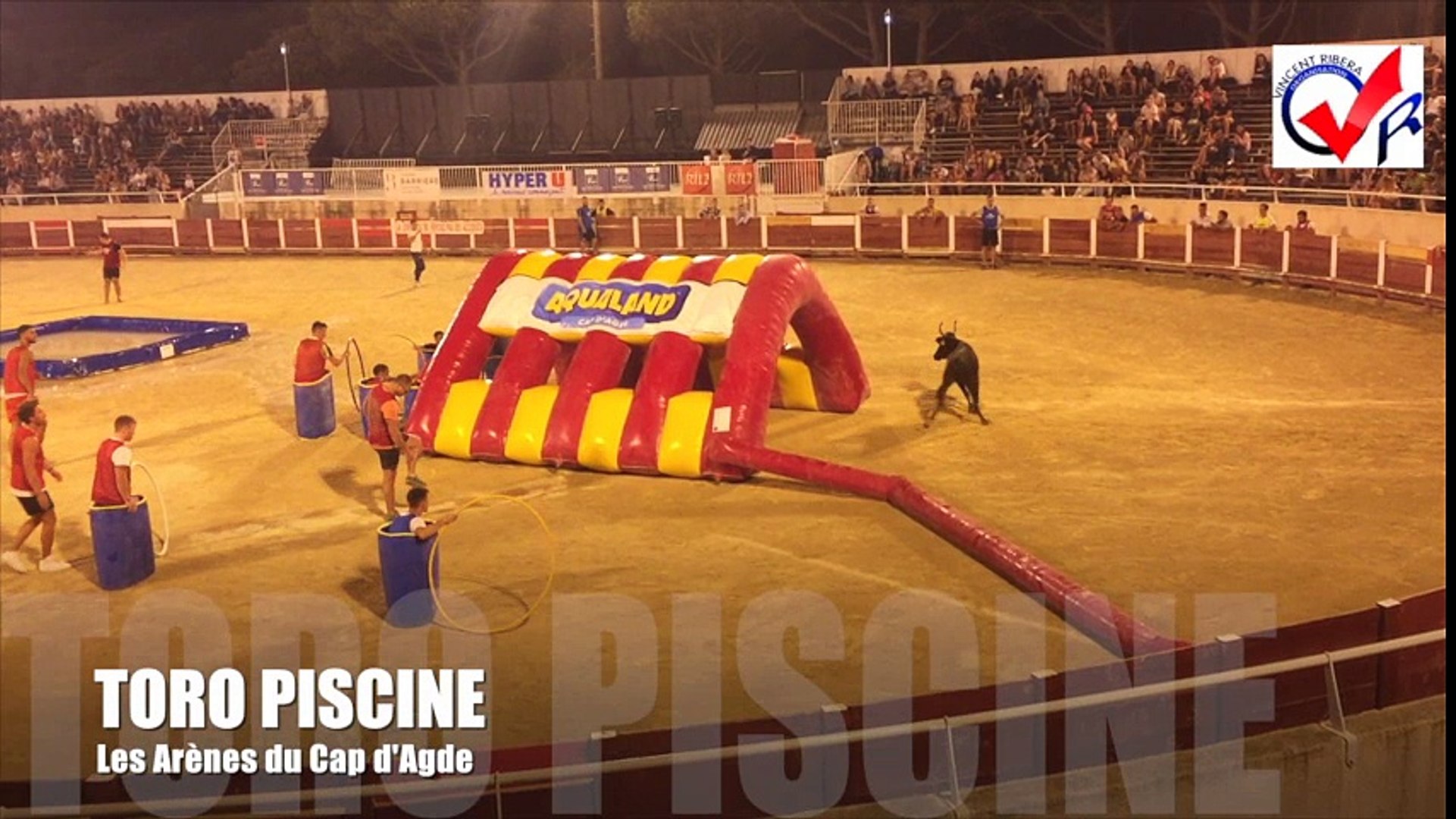 Toro Piscine Cap Dagde