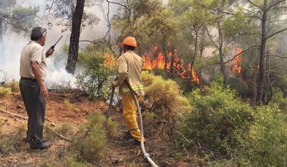 Fethiye'de orman yangını