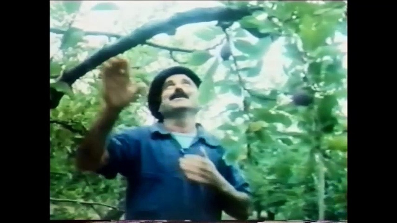 La Saga du Pruneau d'Agen : 1976 et la musique de Louis Chédid
