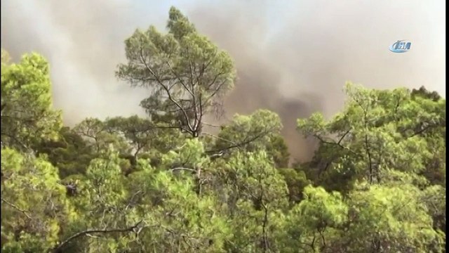Muğla Fethiye'de Orman Yangını