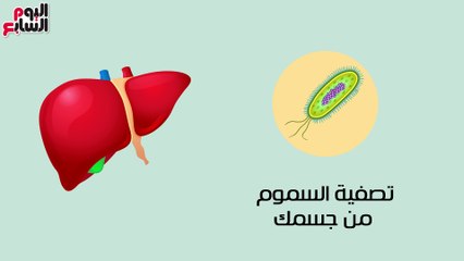 الحلقة الأولى .. "س وج"..  كل ما تريد معرفته عن الفيروسات الكبدية