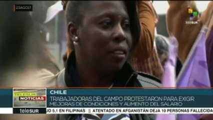 Chile:trabajadoras del campo exigen mejoras salariales y mayor salario