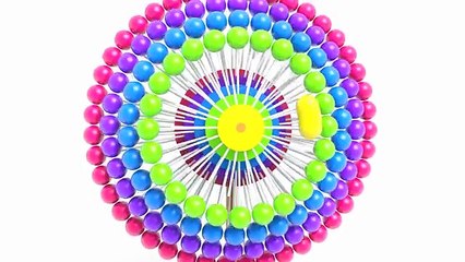 и в  в и к  цвета для Дети Дети ... Узнайте обучение Конфеты много Многие из формы с 3d candys