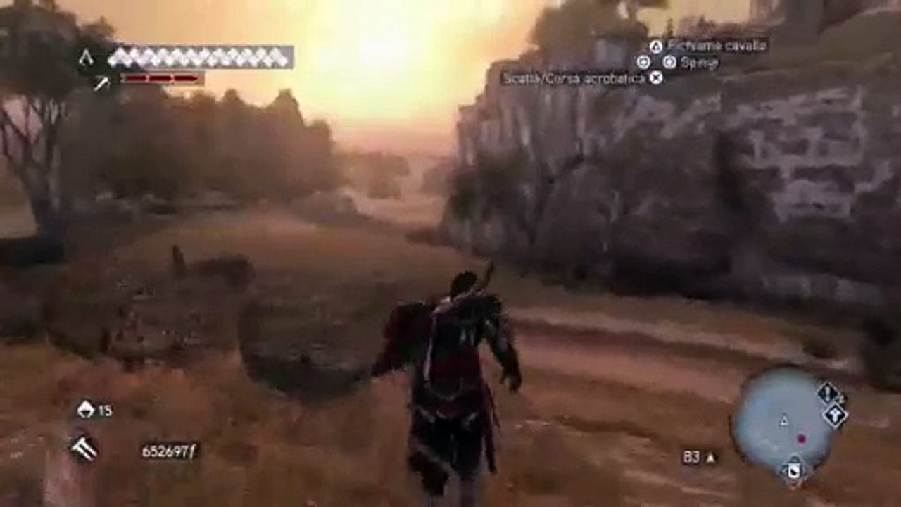 Assassin's creed (14)