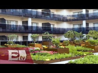 Huertos urbanos en la Ciudad de México / Ricardo Salas