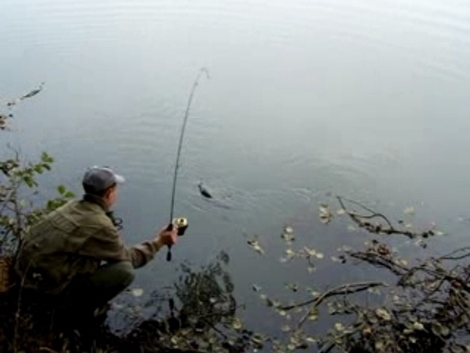 Brochet de 72cm