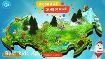 66 шоколадных яиц kinder сюрприз Animal Planet Дикие Животные