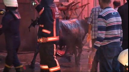 Çıkan Yangında 2 Kurbanlık Hayvan Telef Oldu