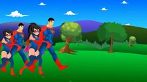 Spiderman Finger Family ( Spiderman Vs Venom ) Finger Family (venom) Nursery Rhyme