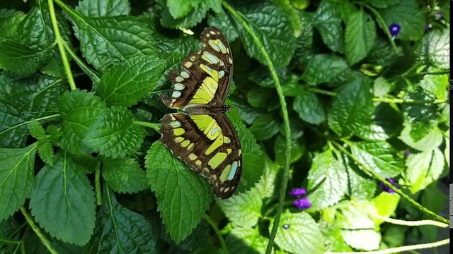 Samsung Galaxy S8 & S8+- Unboxing & Review
