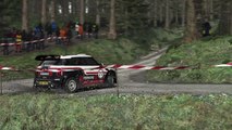 DiRT Rally Hot lap in Powys,Wales