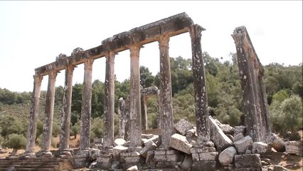 Euromos Antik Kenti'nde Kazı Çalışmalarına Başlandı