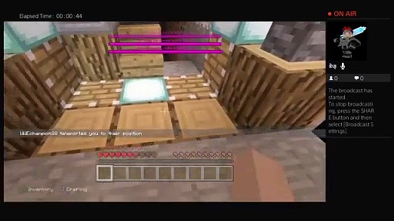 Minecraft pros (52)