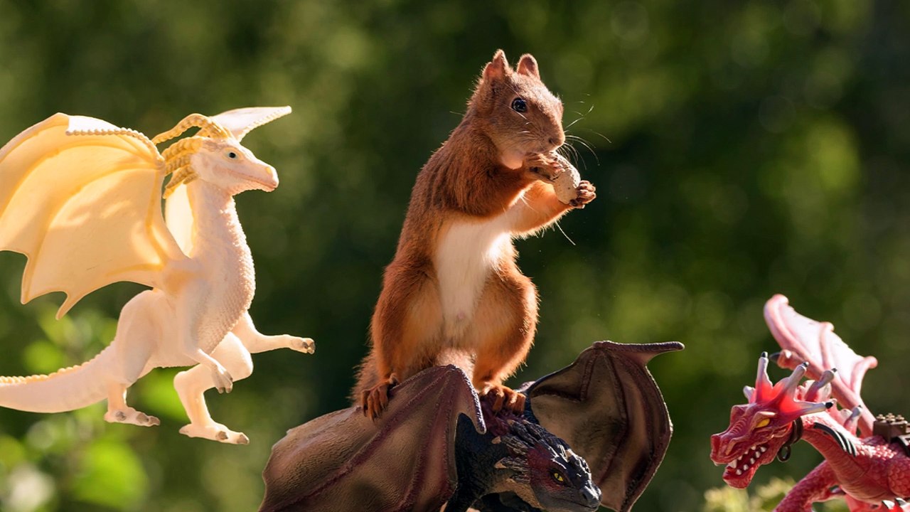 Squirrels playing the Games of Thrones
