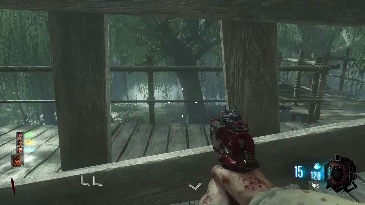 Call of duty Zombies (205)