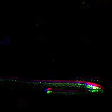 Hóa ra loài rắn trong bản hit mà Taylor Swift mới tung ra không hề tầm thường