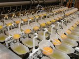 Inside The Food Factory - Amazing Automatic Egg Breaking Machine