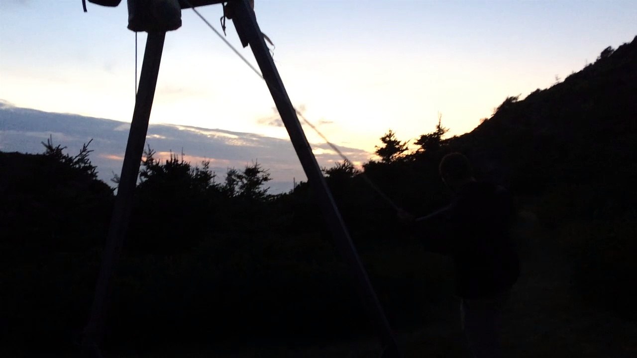PVT CANADA_cap breton_fishing cove_arbre a ours