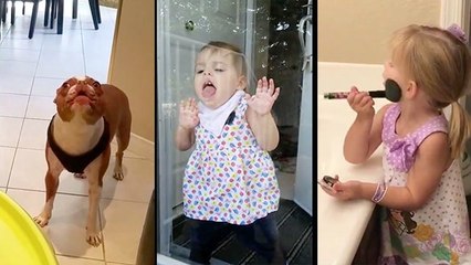 Dogs And Babies Hamming It Up For The Camera