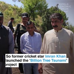 World Economic Forum report on Billion Tree project in KP Pakistan