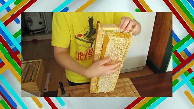 Miel de abeja en ayunas para tener una vida saludable