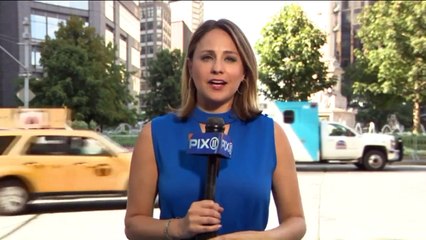 Politicians Rally to Save NYC Christopher Columbus Statue from Removal Consideration