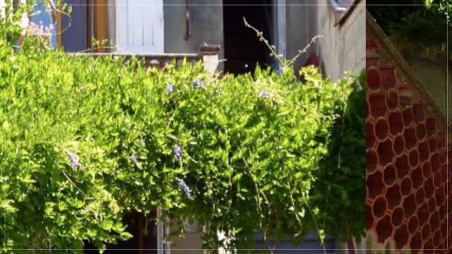 A vendre - Maison - LES ROCHES DE CONDRIEU (38370) - 5 pièces - 150m²