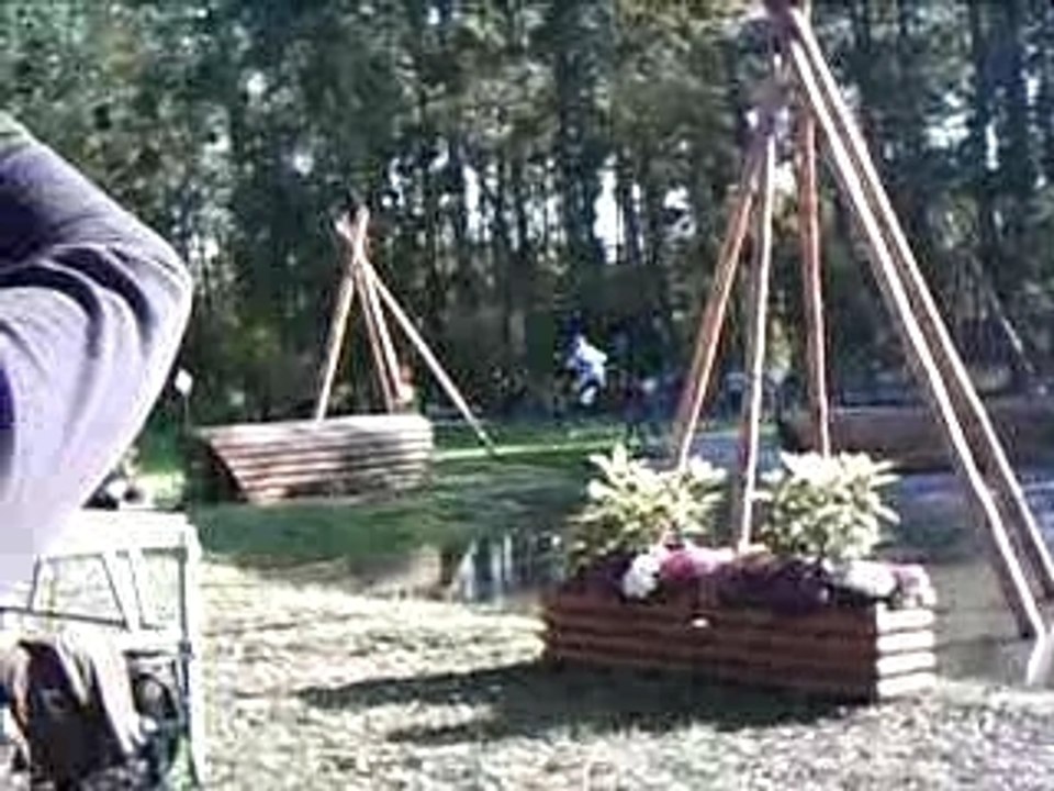 Mondial du lion 2007 l'abreuvoir