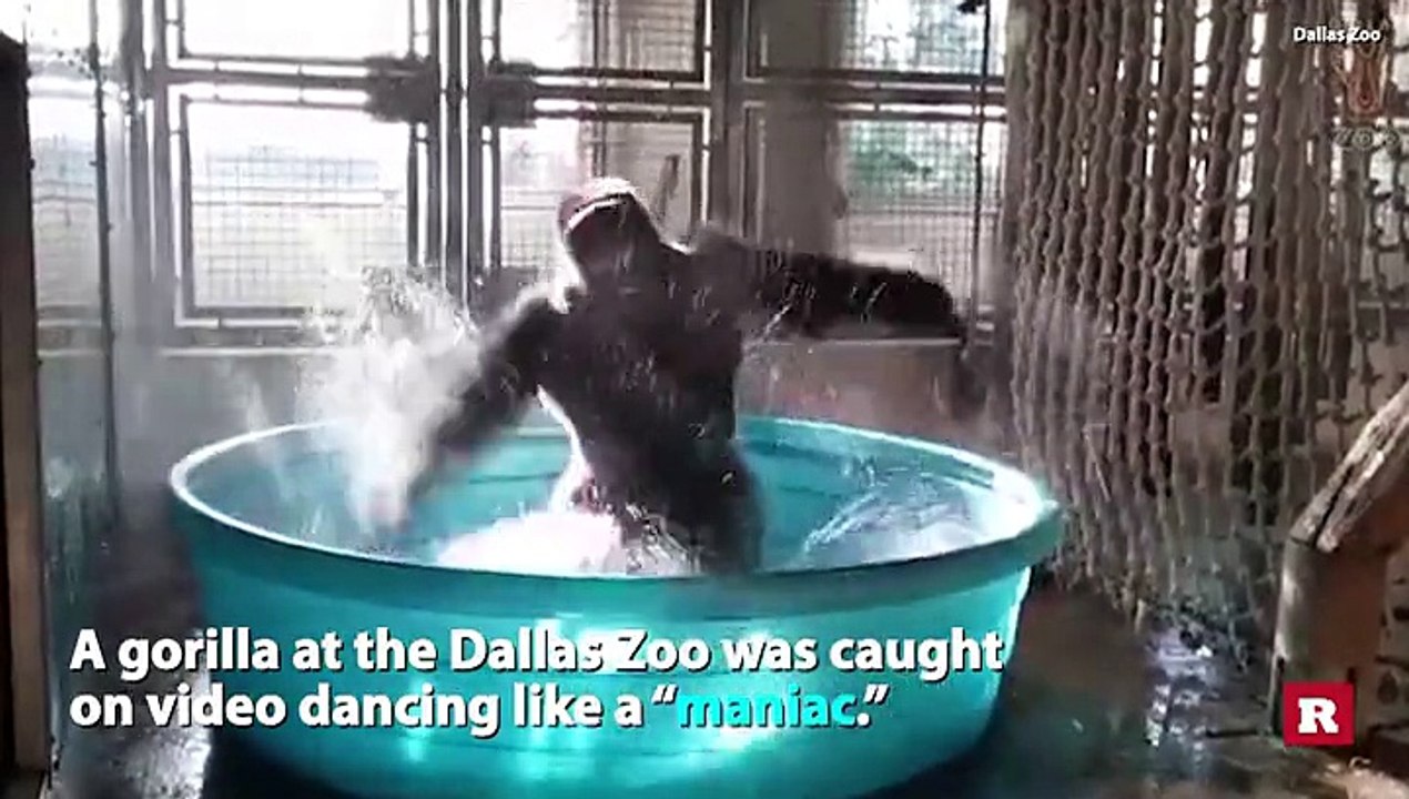 He's a maniac, maniac on the floor.  And he's dancing like he's never danced before.