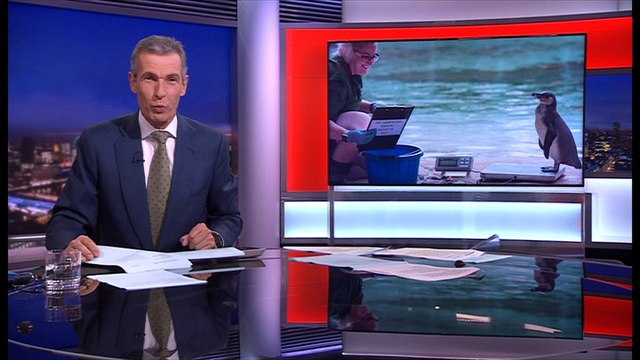 Annual 'weigh-in' takes place at London Zoo